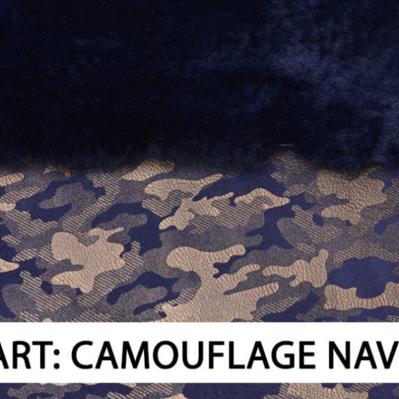 Art camouflage navy