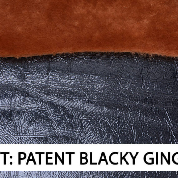 Art patent blacky ginger