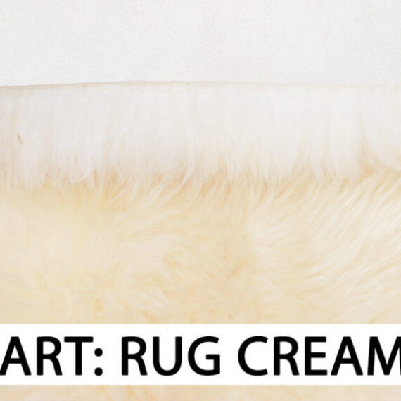 Art rug cream