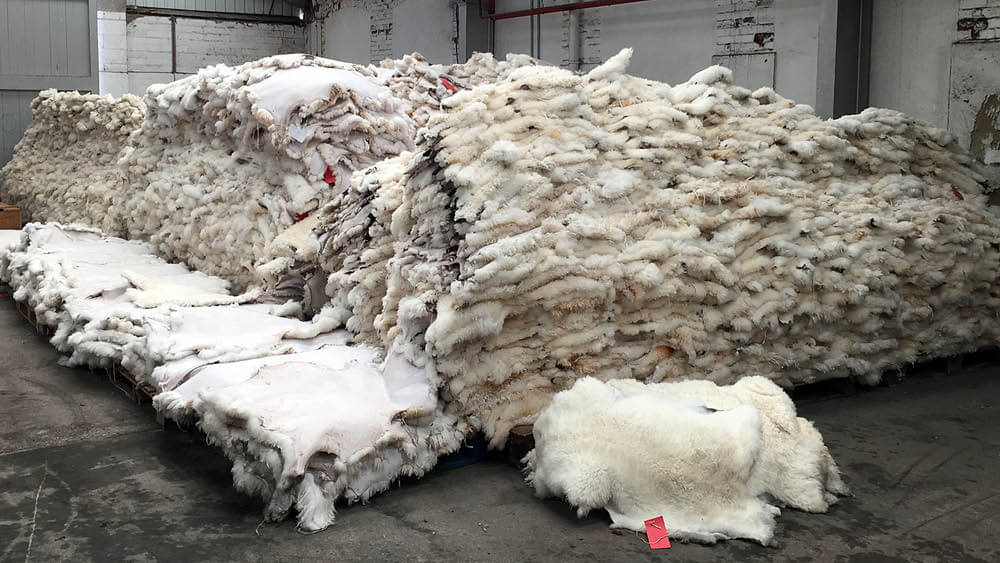 Sheepskin tannery