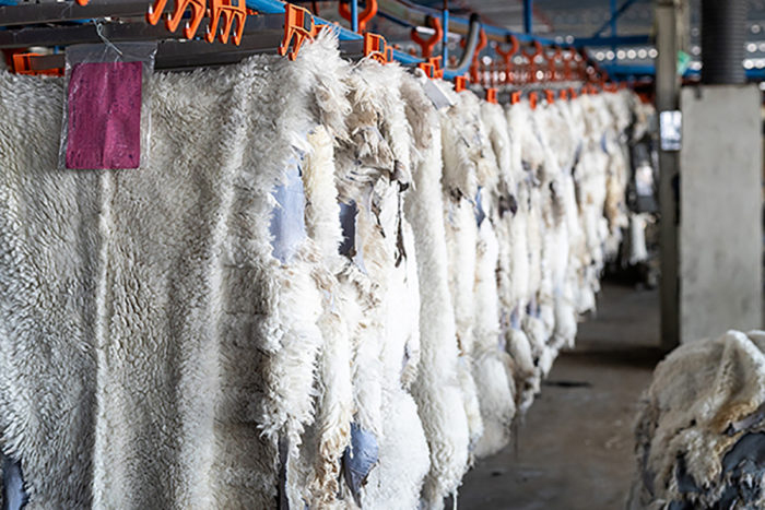 Sheepskin Tannery