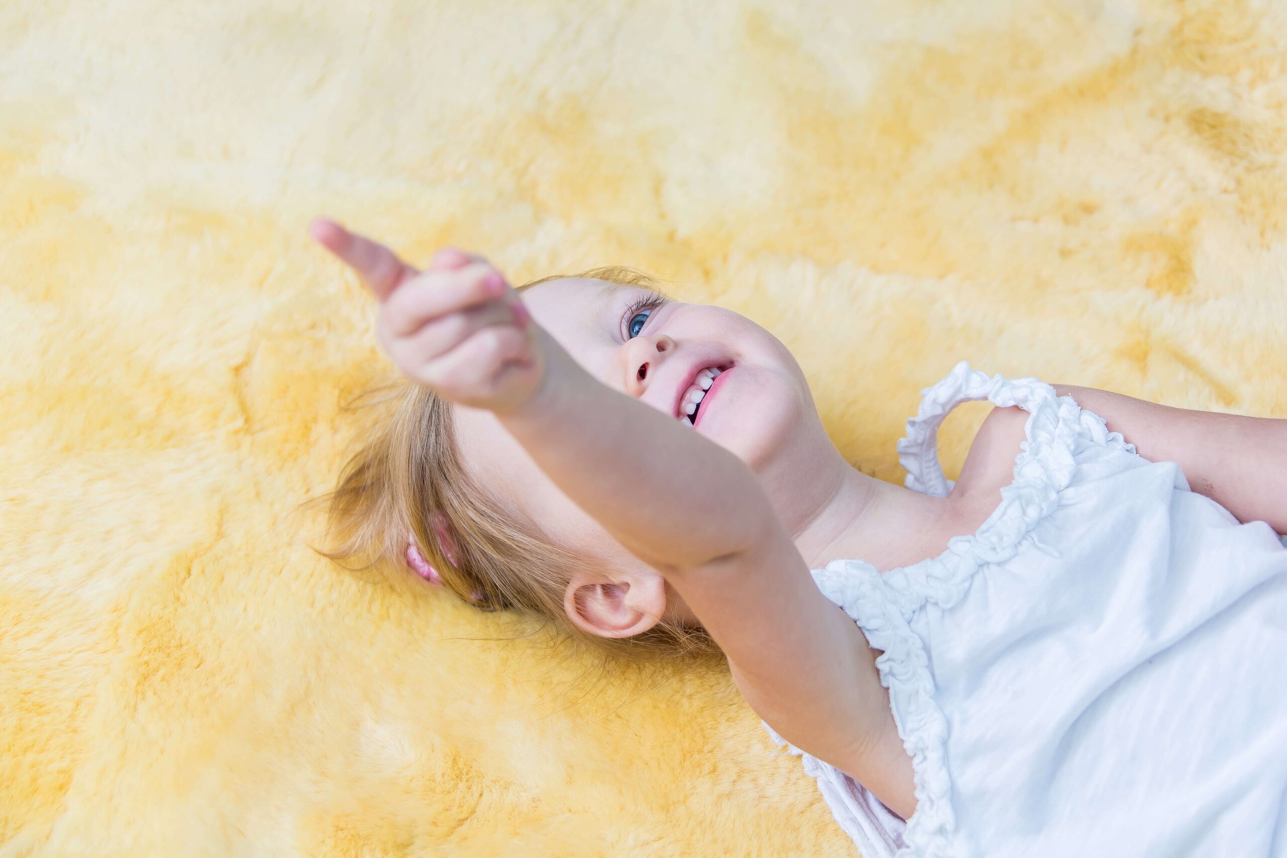 sheepskin rug guide