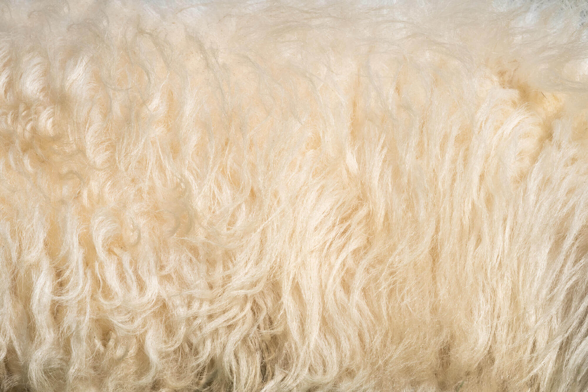 what is lining sheepskin