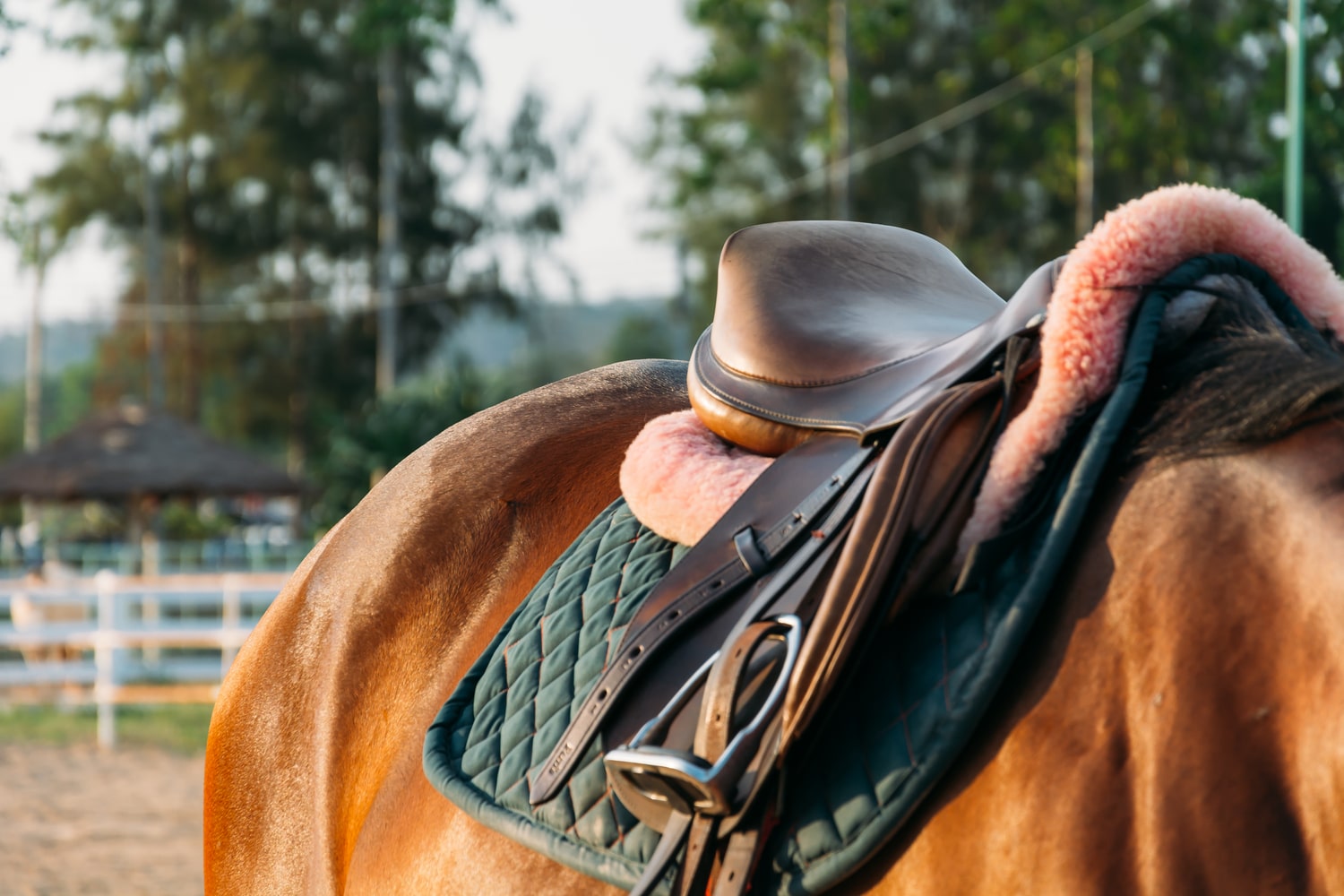 Shearling Products in the Equestrian Market