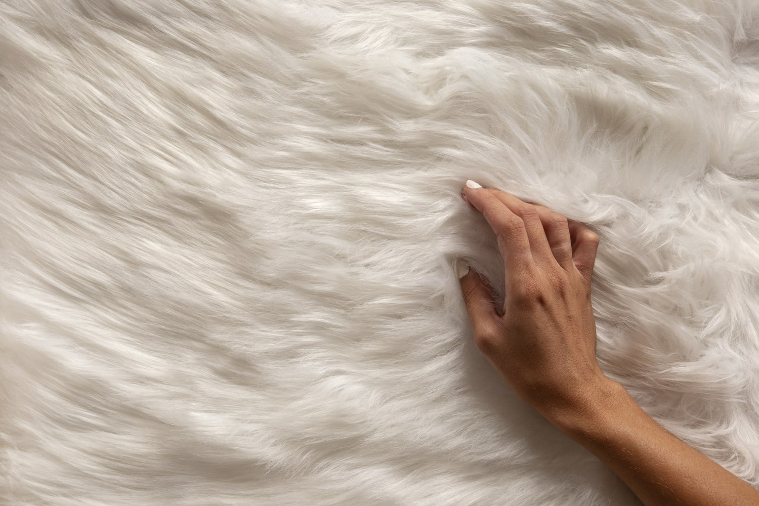 Sheepskin Production