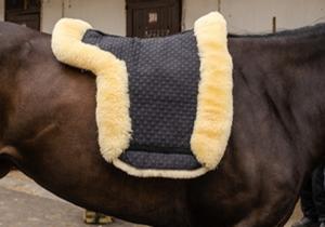 Sheepskin for saddle